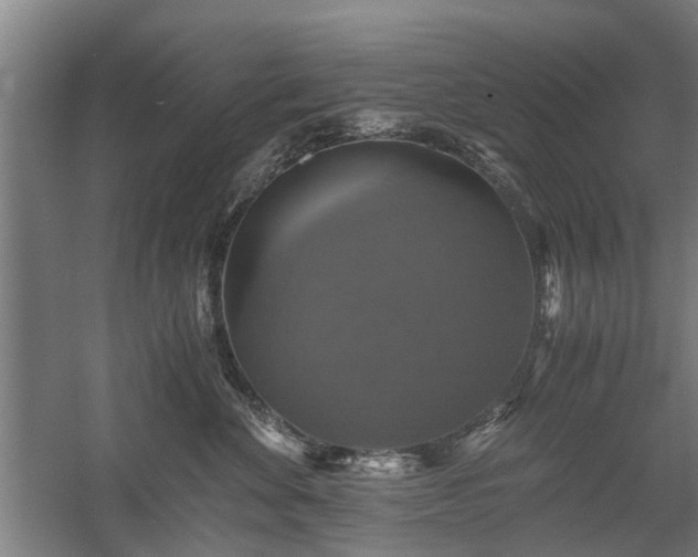 X0000058780524200509301118