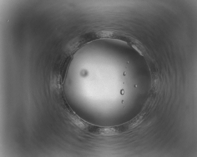 X0000058780525200509301118