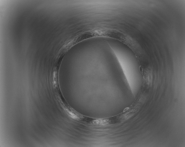 X0000058780526200509301118