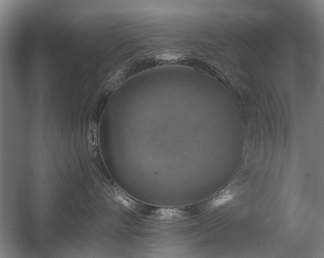 X0000058780528200509301118