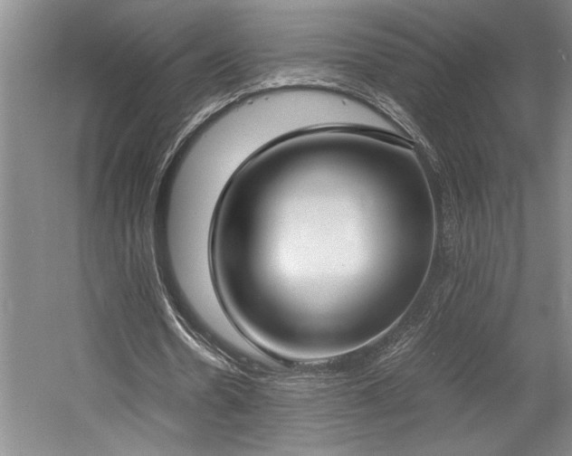 X0000058780530200509301117