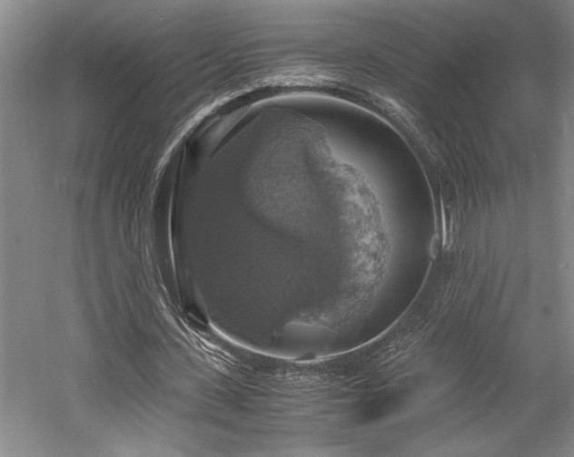 X0000058780531200509301117