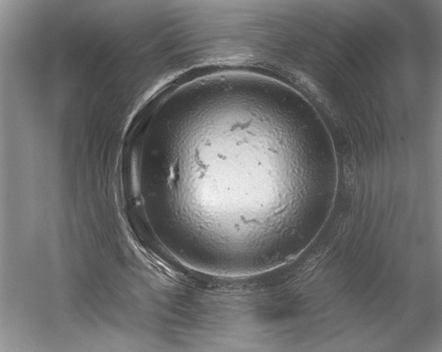 X0000058780532200509301117