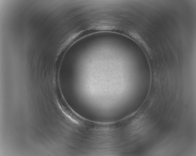 X0000058780533200509301117