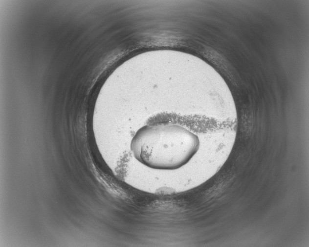 X0000058780534200509301117