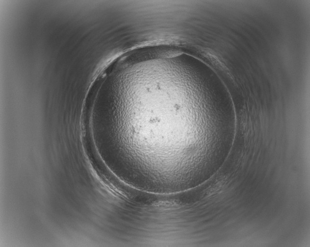 X0000058780536200509301117