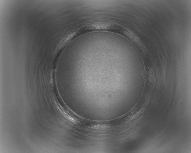 X0000058780537200509301117