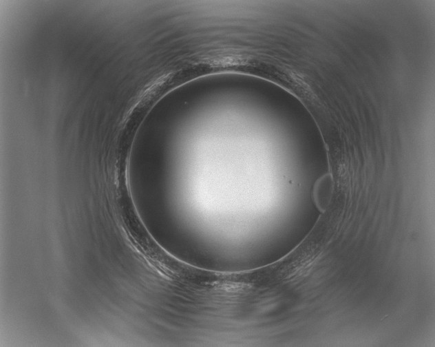 X0000058780539200509301117