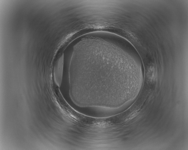 X0000058780540200509301117