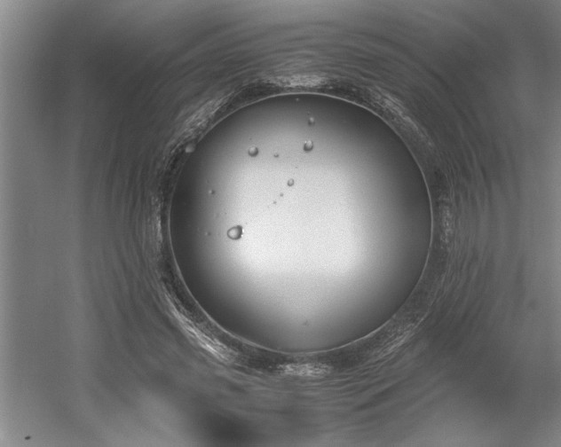 X0000058780541200509301117