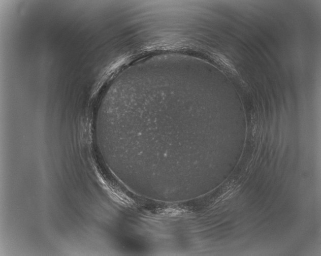 X0000058780542200509301117