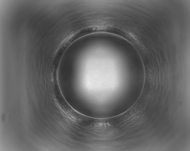 X0000058780543200509301117