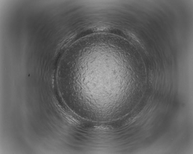 X0000058780545200509301117