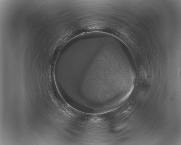 X0000058780547200509301117