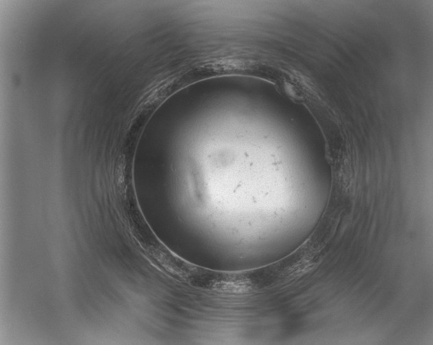 X0000058780548200509301117