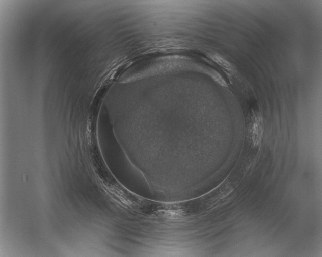 X0000058780552200509301117