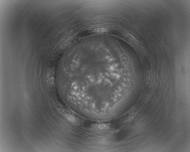 X0000058780553200509301117