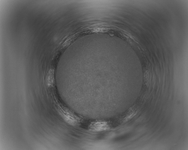 X0000058780554200509301117