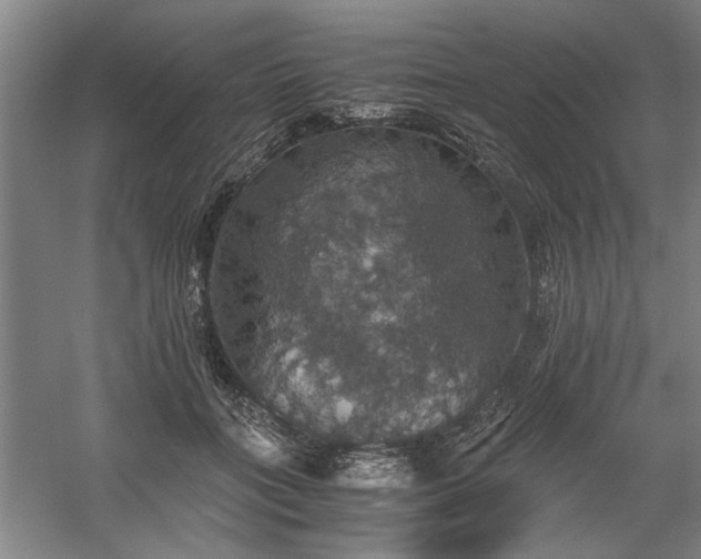 X0000058780555200509301117