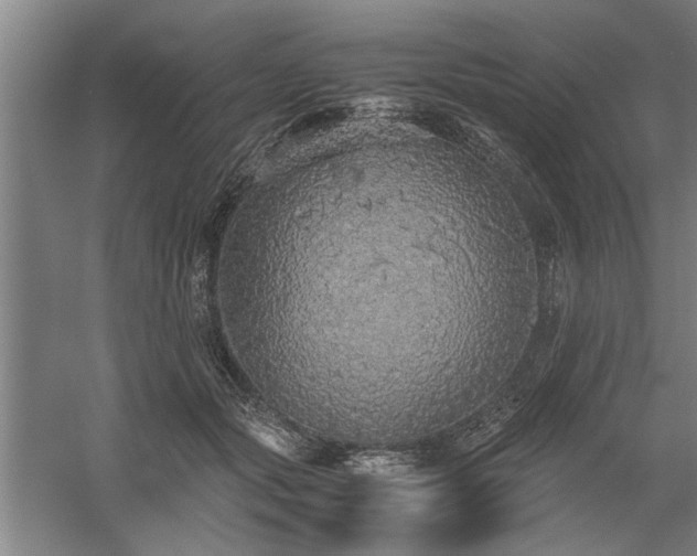 X0000058780557200509301117