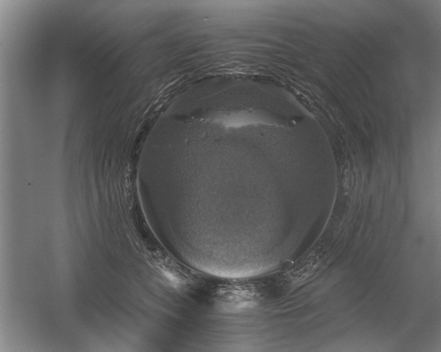 X0000058780559200509301118