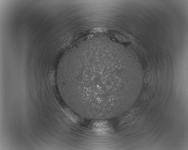 X0000058780560200509301118