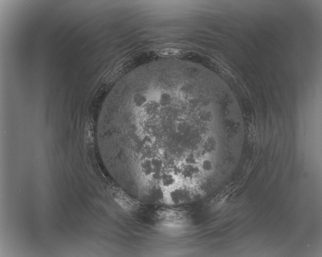 X0000058780561200509301118