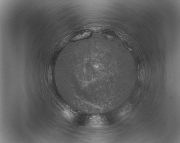 X0000058780562200509301118