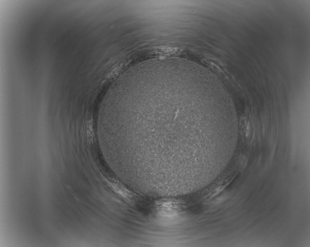 X0000058780564200509301118