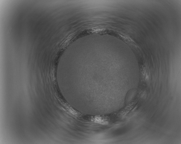 X0000058780565200509301118