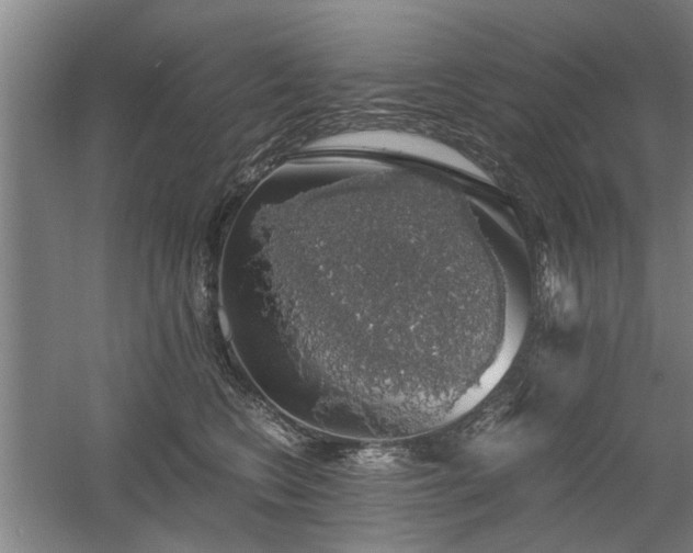 X0000058780566200509301118