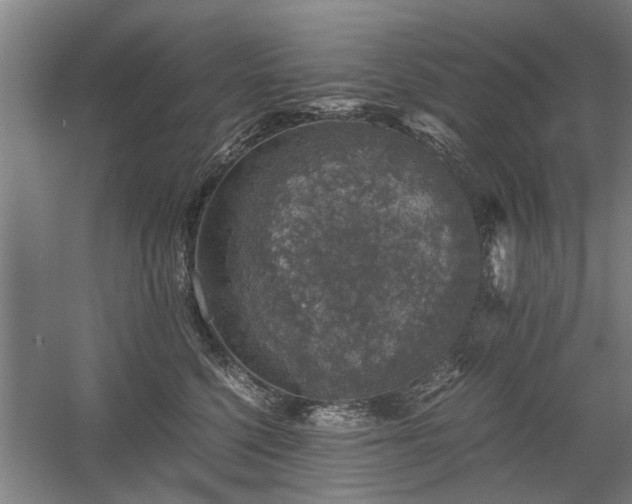 X0000058780568200509301118