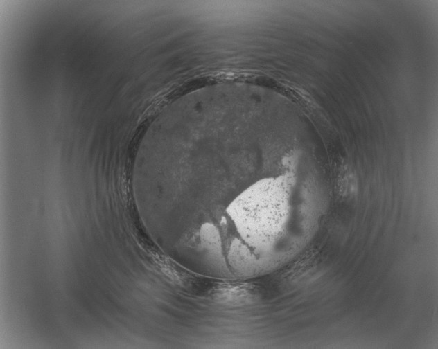 X0000058780569200509301118