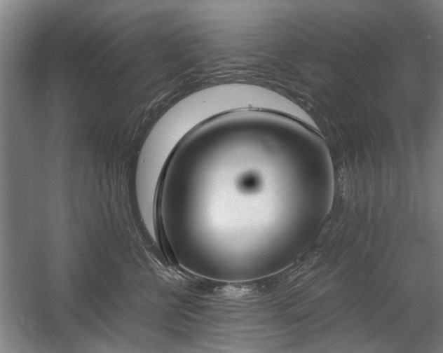 X0000058780570200509301118