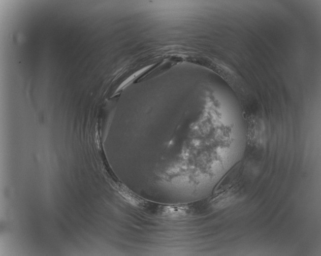 X0000058780573200509301118