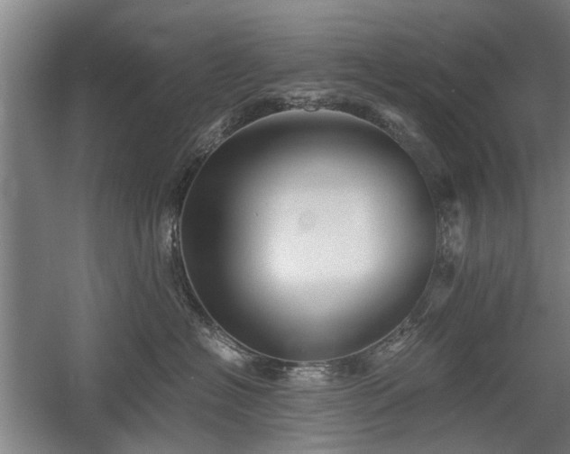 X0000058780574200509301118