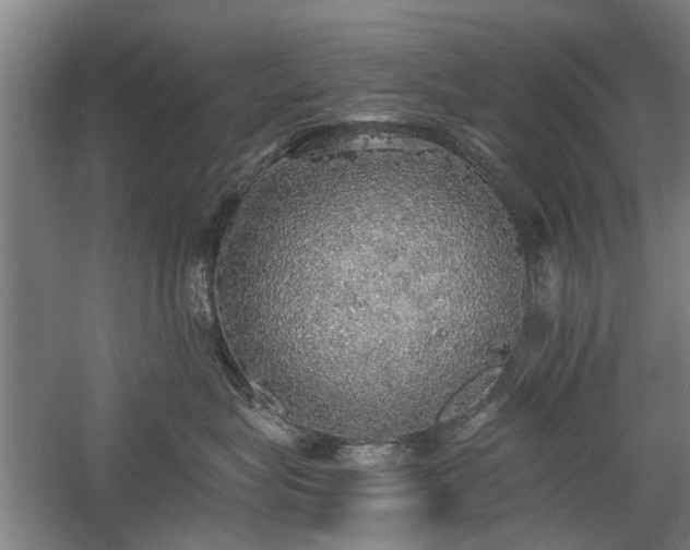 X0000058780575200509301118