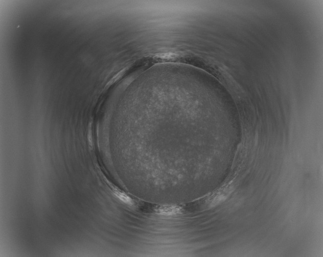 X0000058780576200509301118