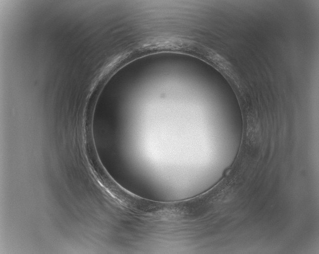 X0000058780578200509301117