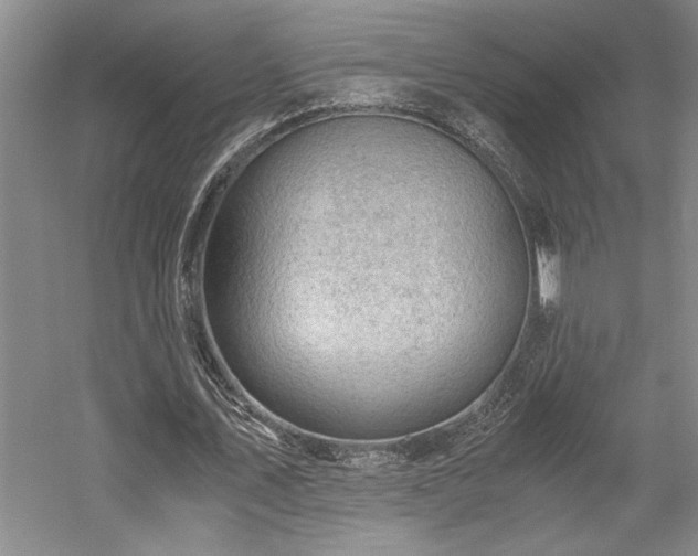 X0000058780579200509301117