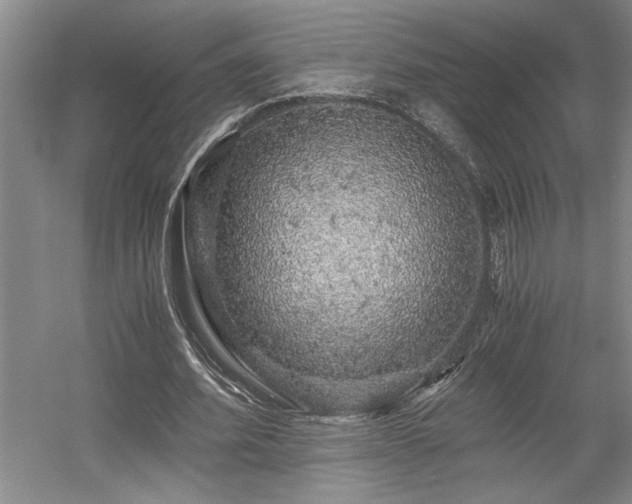 X0000058780580200509301117