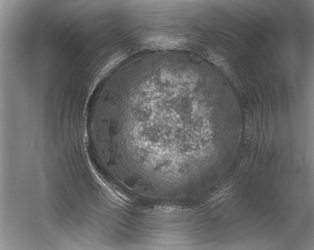 X0000058780582200509301117