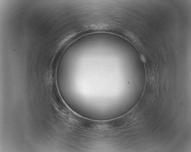 X0000058780583200509301117