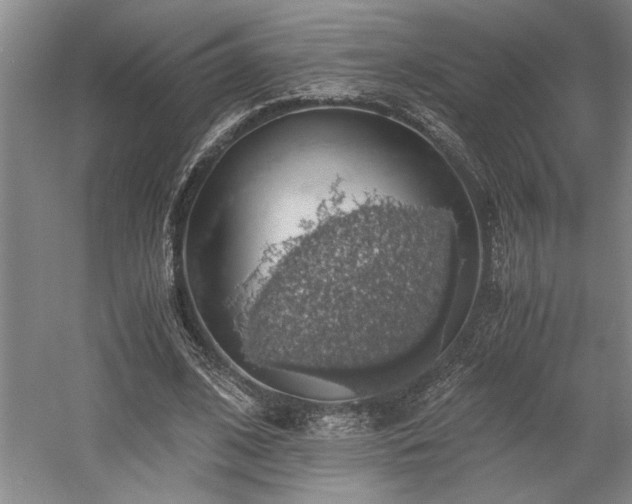 X0000058780584200509301117