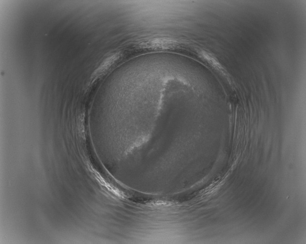 X0000058780585200509301117