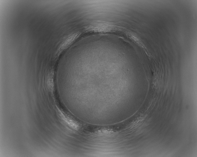 X0000058780586200509301117