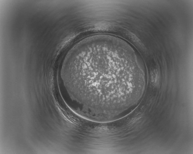 X0000058780588200509301117