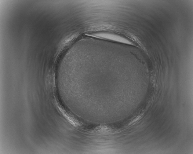 X0000058780589200509301117