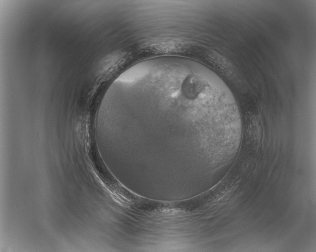 X0000058780590200509301117