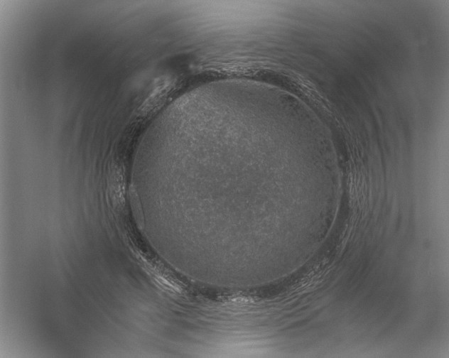 X0000058780593200509301117